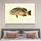 thumbnail image 4 of Póster de pintura de peces, pintura decorativa, lienzo, arte de pared, carteles para sala de estar, pintura para dormitorio, estilo marco, 20 x 30 cm, 4 of 8