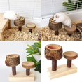 thumbnail image 2 of Hamster Food Bowl Chewable Applewoods Toy Easyly to Clean Small Animal Feeding Bowl And Teeth Grinding Toy, 2 of 5