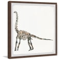 thumbnail image 2 of Marmont Hill Brachiosaurus Skeleton Framed Wall Art, 18.00" x 1.50", 2 of 6