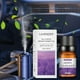thumbnail image 4 of Aceite esencial Alivia la fatiga Aceite de aromaterapia Ayuda a respirar 10 ml Lavanda una esencia, 4 of 5