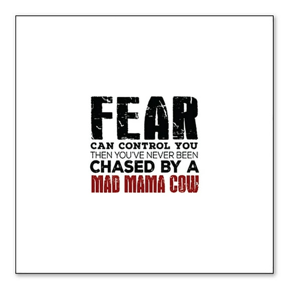 DistinctInk Custom Bumper Sticker - 10" x 10" Decorative Decal - White Background - Never Been Chased By A Mad Mama Cow