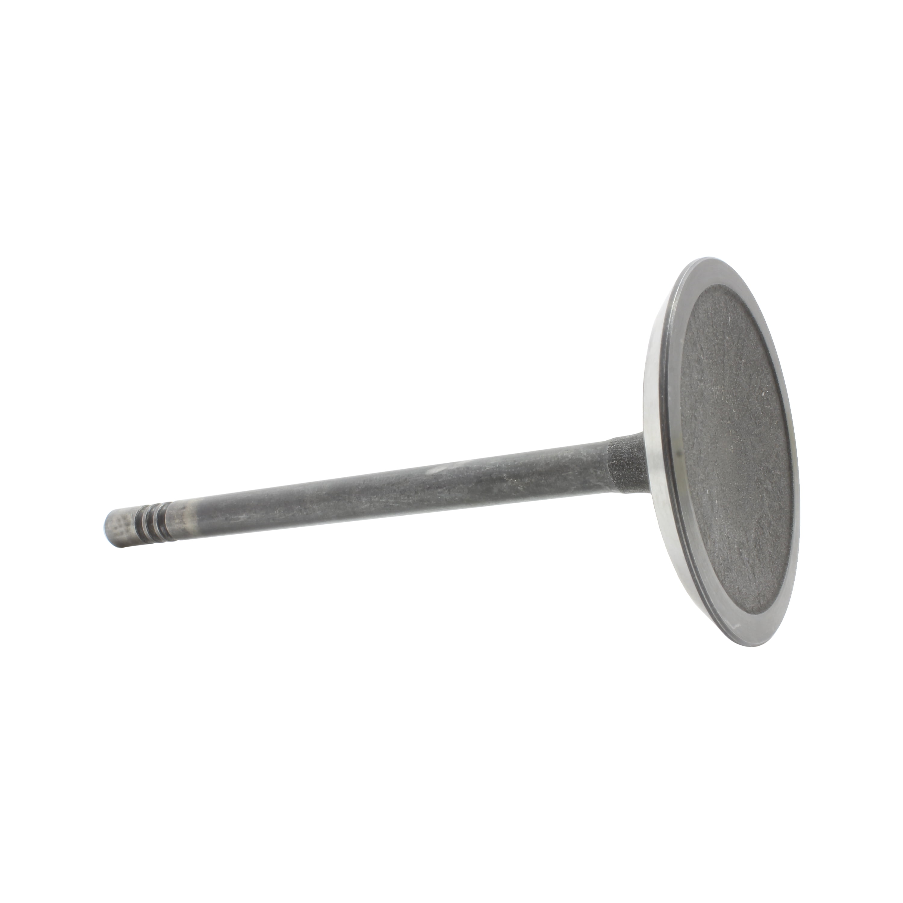 DNJ IV1100 Intake Valve Fits Cars & Trucks 99-12 Chrysler Dodge 1500 Aspen 3.7L SOHC 12v 16v