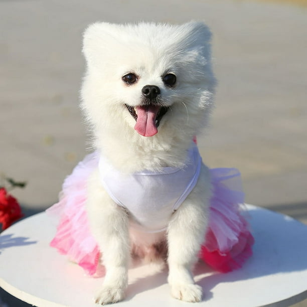 Vestidos para perros pequeños Niña Paquete de Ropa de verano