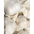 thumbnail image 2 of YBQF Fresh 100% Naturally Garlic Bulbs For Planting or Cooking! (0.5), 2 of 2