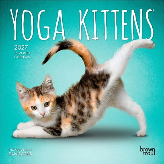 Yoga Kittens Official 2027 7 X 14 Inch (Hanging) Monthly Mini Wall Calendar, (Paperback)