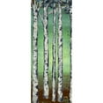 thumbnail image 3 of Medley, Elizabeth 12x24 Black Modern Framed Museum Art Print Titled - Tall Trees II, 3 of 5