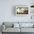 thumbnail image 3 of John James Audubon 'Burgomaster Gull' Canvas Art, 3 of 3