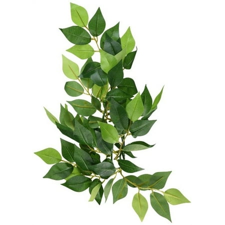 - Exo Terra Silk Terrarium Plant, Small, Ficus