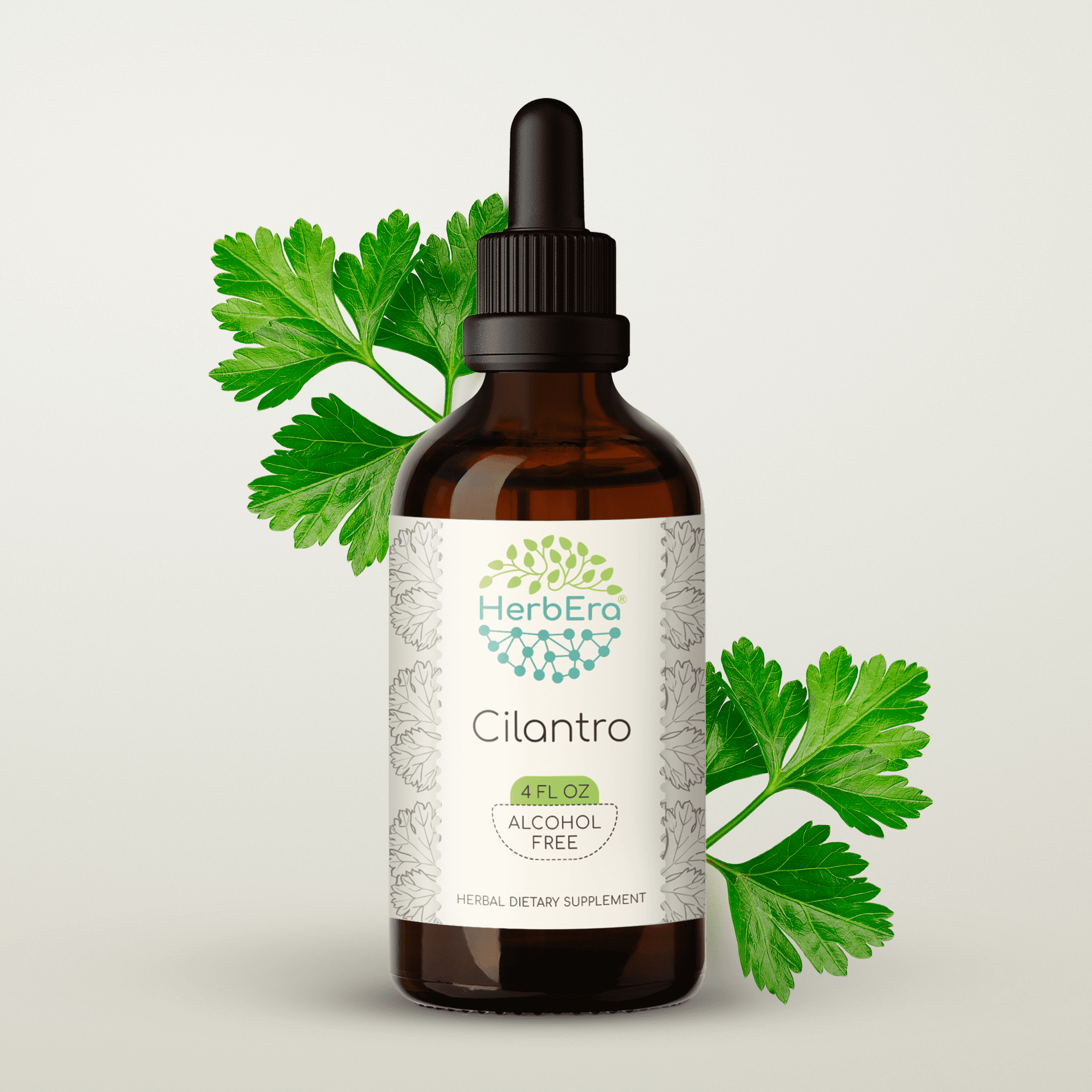 Cilantro AlcoholFREE Herbal Extract Tincture, SuperConcentrated