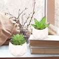 thumbnail image 5 of Plantas en maceta con formas-Decoraciones de oficina plantas en maceta Ormromra CPB-YL619-2, 5 of 5