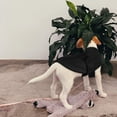 thumbnail image 2 of Jersey para perro Queenmore XXS de forro polar suave, jersey negro, 2 of 2