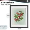 thumbnail image 4 of Stupell Industries Traditional Vintage Strawberry Bundle Black Framed Print Under Glass, 13 x 16, by Diane Neukirch, 4 of 8
