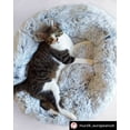 thumbnail image 5 of Mr. Peanut's 23" OrthoPlush Pet Bed - Gray Two Tone, 5 of 9