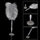 thumbnail image 2 of 26-27 Ostrich Feather Quill Pen with Metal Holder, 2 of 5