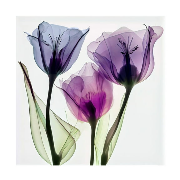 Canvas Wall Art - Sasha 'Power of Three' Wall Art for Living Room, Bedroom, or Office Décor by Trademark Fine Art - 14 x 14 Inches