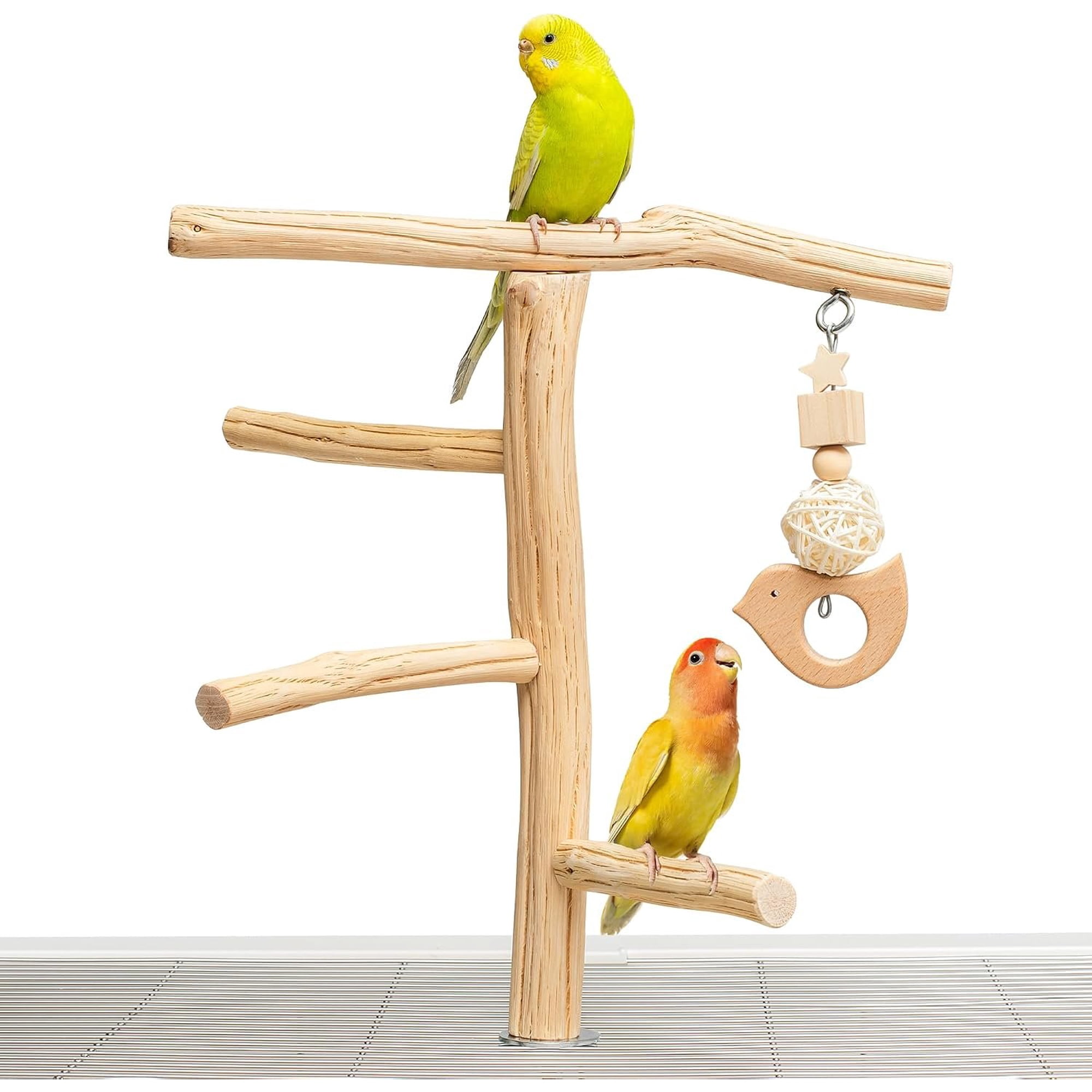 Wooden Bird Perch Stand with , Bark-Free Solid Parrot Perch for Budgies, Parakeets, Cockatiels and Lovebirds, Inside or Cage Top Bird Playground