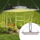 thumbnail image 5 of Luz de crecimiento LED, luz de crecimiento LED Luz de crecimiento alto Luz de crecimiento de flores para interiores Diseño fácil de usar, 5 of 8