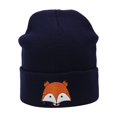 thumbnail image 2 of Dyfzdhu New Fashion Women Men Keep Warm Casual Knitted Hat Ski Embroidery Sport Blue, 2 of 2