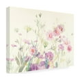 thumbnail image 4 of Trademark Fine Art 'Queen Annes Lace and Cosmos Painting' Canvas Art by Danhui Nai, 4 of 4