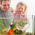 thumbnail image 4 of LABSERRON Apparence Réaliste Terrarium Plante Artificielle Modèle Résine Multi Lot de 1, 4 of 6
