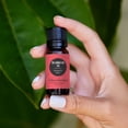 thumbnail image 2 of Edens Garden Inflammation Aid Essential Oil Blend- 100% Pure Premium Grade, Undiluted, Natural, Therapeutic, Aromatherapy, The Best for Skin, Face, Humidifiers 30 ml (1 fl oz), 2 of 8