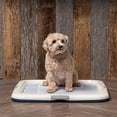 thumbnail image 2 of IRIS USA, Support Carré pour Tapis d'Entraînement pour Animaux, Bleu, 2 of 13