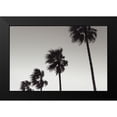 thumbnail image 2 of 1x Studio III 14x11 Black Modern Framed Museum Art Print Titled - Palm_004, 2 of 5