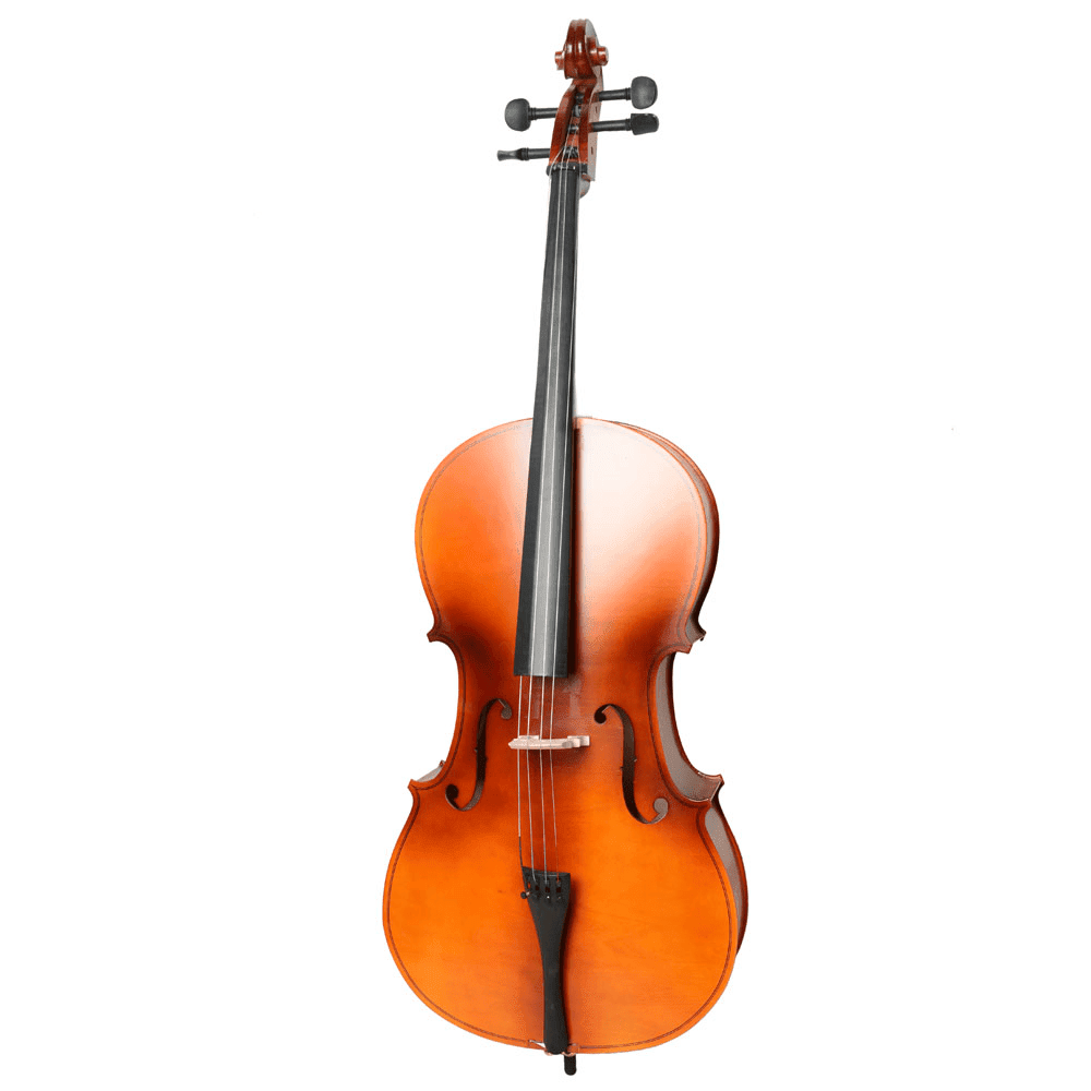 Tcbosik Full Size Acoustic Cello Kit for Adults, 4/4 Beginner Cello Set with Case, Bow and Rosin, Wood Color