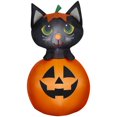 thumbnail image 1 of Airblown Yard Inflatables Halloween Light Green Eyed Black Cat in Jack o' Lantern SM, 1 of 6
