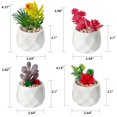 thumbnail image 5 of Artificial Succulents Fake Plant in Pots Mini floral Décor Artificial Greenery Realistic Faux Succulents for Home Office Window Sill Bathroom Bedroom 4 Pcs Multi-Color, 5 of 8
