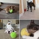 thumbnail image 5 of ¡Ahorra Más!, La forma de la pelota de juguete automática para perros, pelota de juguete interactiva Akmoler, 5 of 9