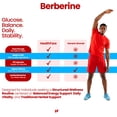 thumbnail image 4 of HealthFare Berberine with Ceylon Cinnamon 2500mg | 60 Veg Capsules | Premium Herbal Blend | Non-GMO, Gluten-Free | Made in the USA, 4 of 6