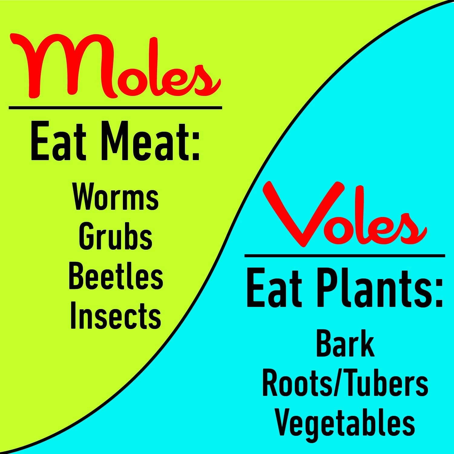 I Must Garden Mole & Vole Repellent - 32oz Hose End Concentrate