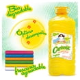 thumbnail image 4 of DETERGENTE CARISMA GALON 3.785ML, 4 of 4