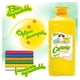 thumbnail image 4 of DETERGENTE CARISMA GALON 3.785ML, 4 of 4