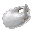 thumbnail image 4 of Skull Glasses Stand, Storage Tray Design Statue Glasses Holder Synthetic Resin  For Home, 4 of 8