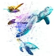 thumbnail image 2 of Prime, Marcus 12x12 White Modern Wood Framed Museum Art Print Titled - Splashing Turtles 2, 2 of 4