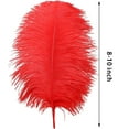 thumbnail image 2 of Red Ostrich Feather,Bexikou 20 Pcs 8-10 inch(20-25 cm) Ostrich Feathers for Crafts Floral Arrangement,Wedding Party Centerpieces Home Decorations, 2 of 7