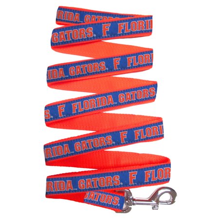 Ribbon Dog Leash - University of Florida Nylon Ribbon Dog Leash