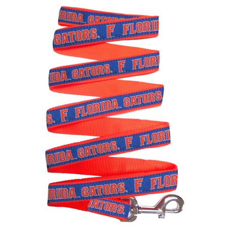 University of Florida Nylon Ribbon Dog Leash