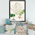 thumbnail image 3 of Designart 'Ancient Botanicals XVI' Farmhouse Framed Art Print, 3 of 4