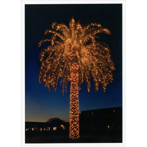 Palm Press Palm Tree Lights at Nighttime Warm Weather / Tropical Box of 10 Christmas Cards