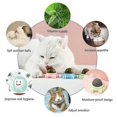 thumbnail image 4 of 3pcs Catnip Wall Ball Toys Edible Licking Toy Chew Toy Teeth Cleaning Bite Toy Rotatable Indoor Toy, 4 of 5