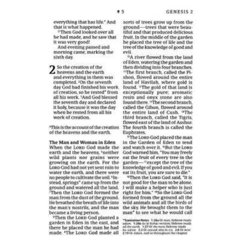 Tyndale NLT Compact Giant Print Zipper Bible, Filament Edition