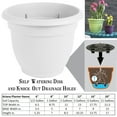 thumbnail image 2 of Bloem Ariana Self Watering Plastic Planter 6" White, 2 of 2