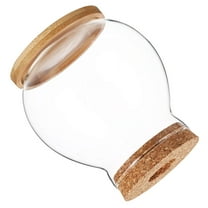 Masteelf Small Glass Fish Bowl With Lid Hydroponic Mini Fish Tank Betta Fish Tank Desktop Aquarium For Office Clear Glass Terrarium Bowl Home Decor