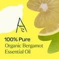 thumbnail image 3 of Plant Therapy Organic Bergamot Essential Oil 10 mL (1/3 oz) 100% Pure, Undiluted, Natural Aromatherapy, 3 of 8