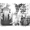 thumbnail image 2 of Bluebird Barn 18x15 White Modern Wood Framed Museum Art Print Titled - Modern Black And White Elephants, 2 of 4
