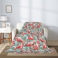 thumbnail image 5 of Throw Blanket for Couch Sofa and Bed, Pink Flamingo Super Soft Plush Throw Blanket, Fuzzy Cuteness Comfy Warm Washable Flannel Blanket & Throws for All Season 80"x60", 5 of 7