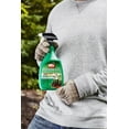 Ortho MAX Poison Ivy & Tough Brush Killer, 24Ounce, Oak Herbicide